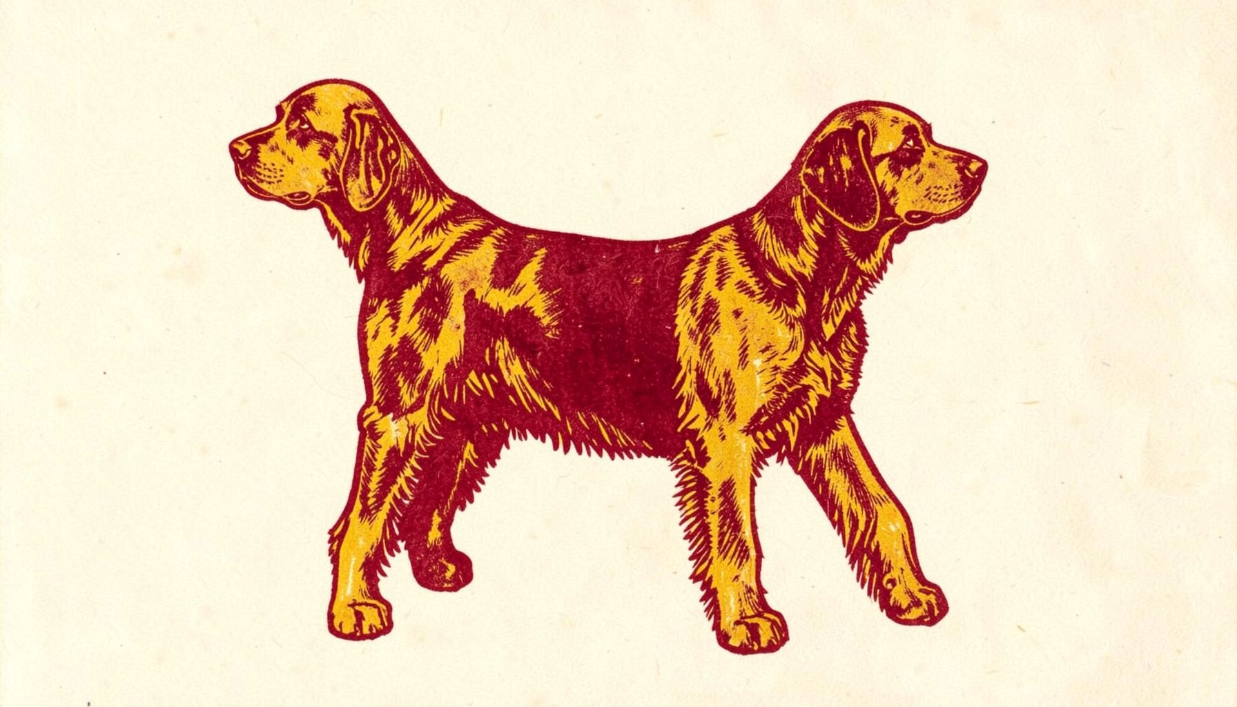 A carved linocut relief print of a well-groomed show dog standing in profile, rendered in warm ochre and deep brown tones, with a soft cream background suggesting a calm, trusted breeder setting.