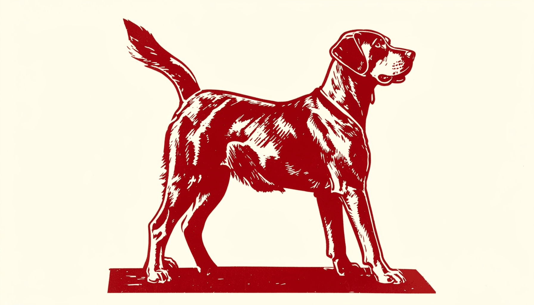 Carved linocut relief print of a show dog standing in a stacked pose, bold contrast of burnt sienna and cream, clean strong lines, formal and proud stance